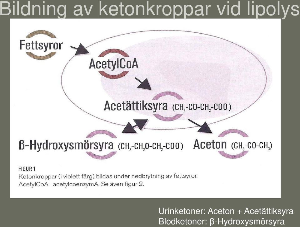 Aceton + Acetättiksyra