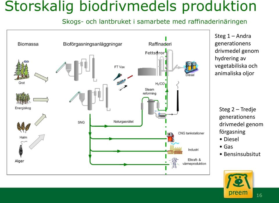 genom hydrering av vegetabiliska och animaliska oljor Alger Steg 2