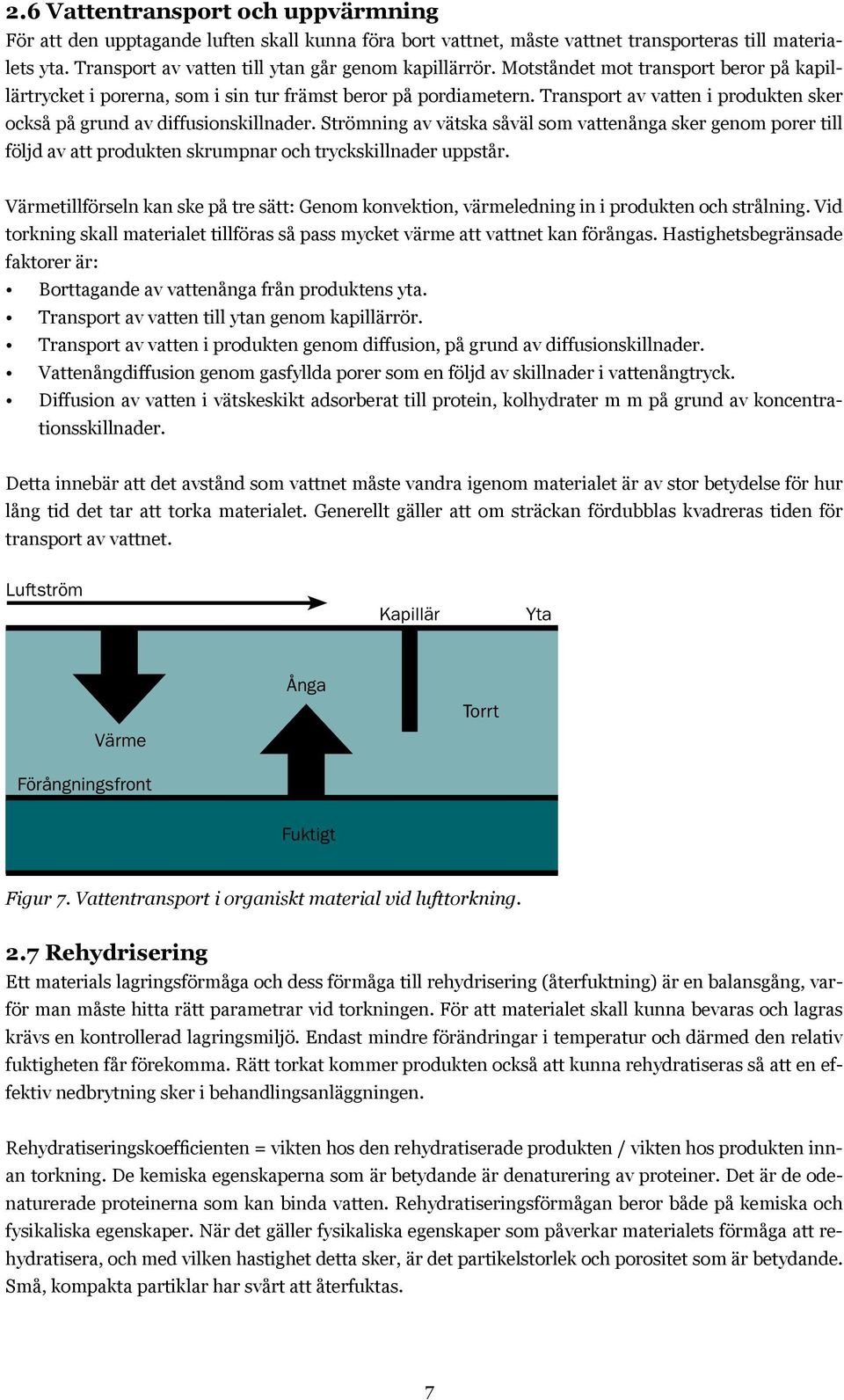 Strömning av vätska såväl som vattenånga sker genom porer till följd av att produkten skrumpnar och tryckskillnader uppstår.