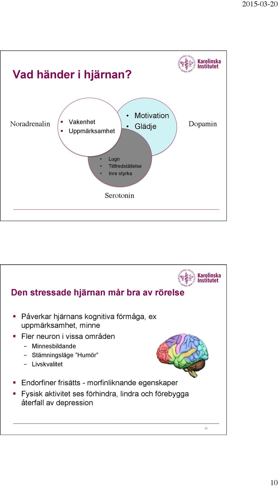 Den stressade hjärnan mår bra av rörelse Påverkar hjärnans kognitiva förmåga, ex uppmärksamhet, minne Fler