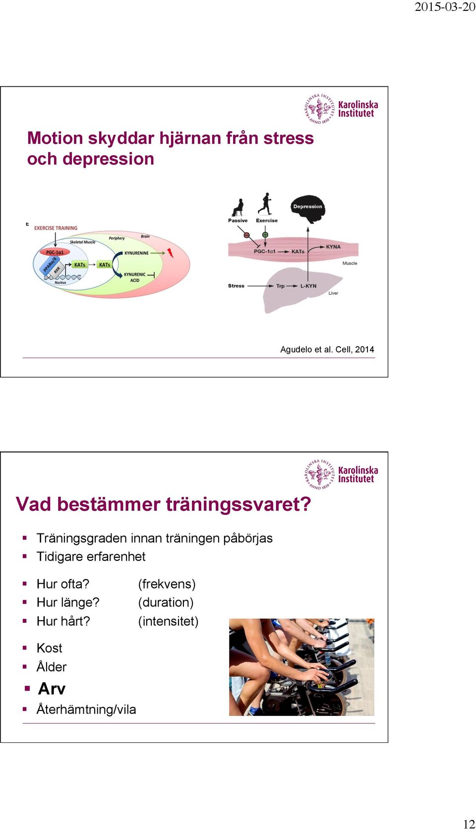 Träningsgraden innan träningen påbörjas Tidigare erfarenhet Hur