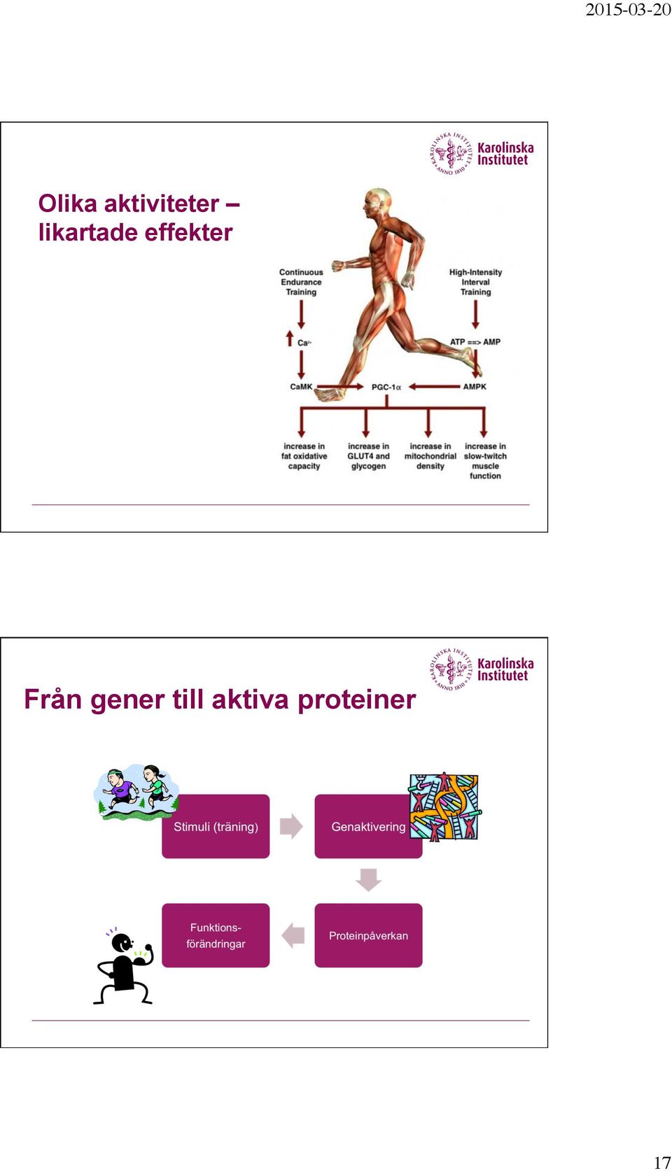 effekter Från