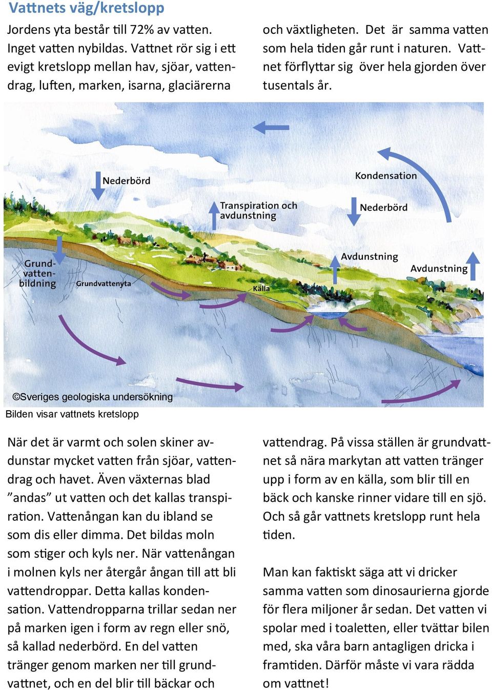 Vattnet förflyttar sig över hela gjorden över tusentals år.