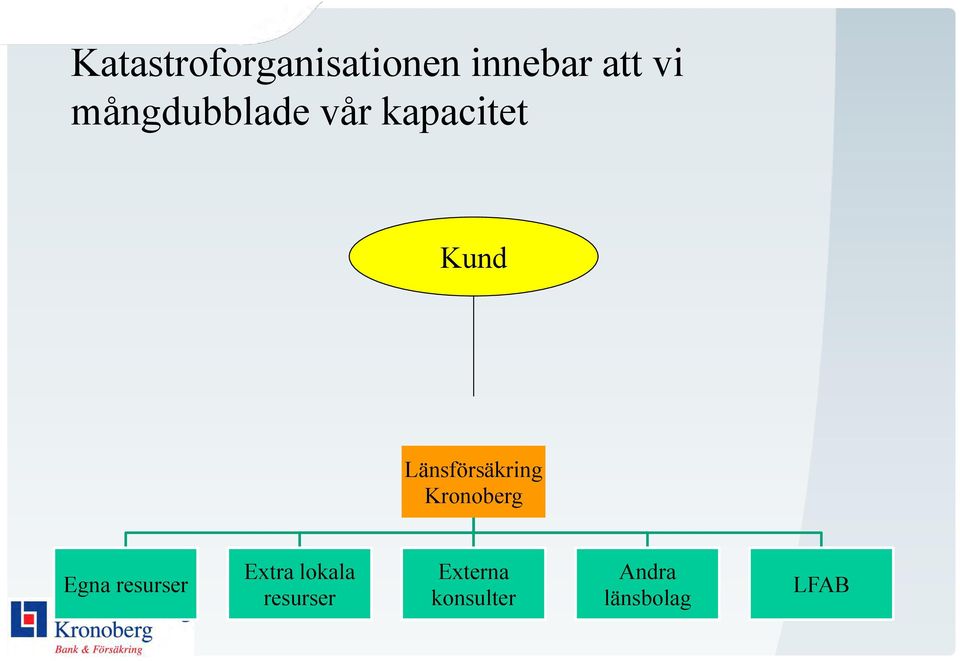 Länsförsäkring Kronoberg Egna resurser