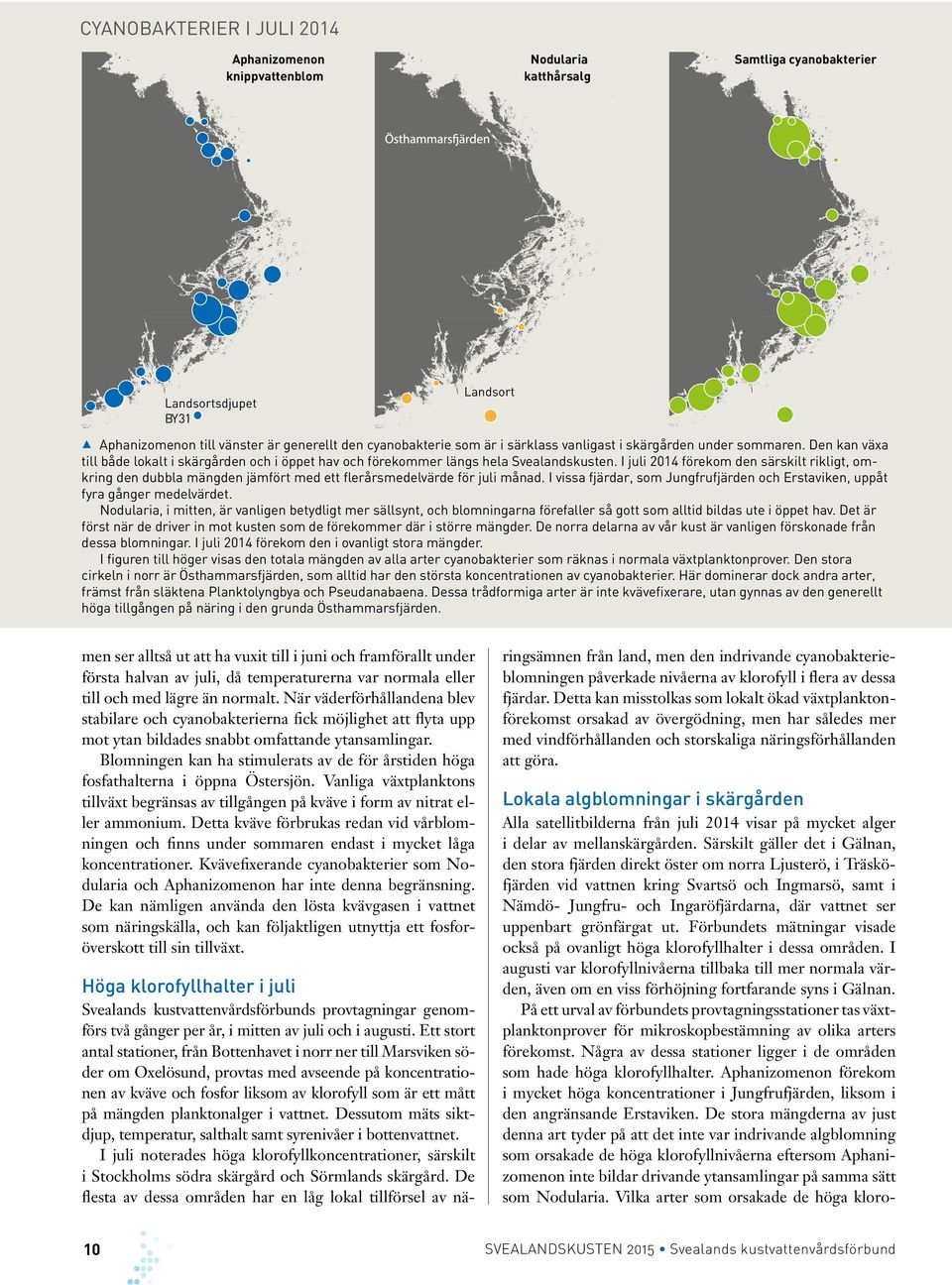 I juli 214 förekom den särskilt rikligt, omkring den dubbla mängden jämfört med ett flerårsmedelvärde för juli månad. I vissa fjärdar, som Jungfrufjärden och Erstaviken, uppåt fyra gånger medelvärdet.