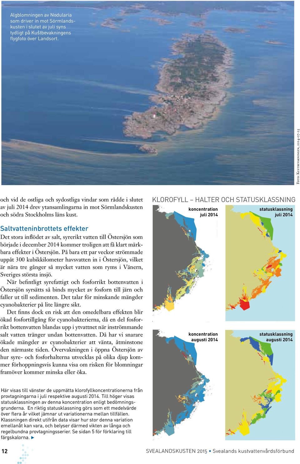 Klorofyll - halter och statusklassning klorofyll halter och statusklassning koncentration juli 214 statusklassning juli 214 koncentration augusti 214 statusklassning augusti 214 Saltvatteninbrottets