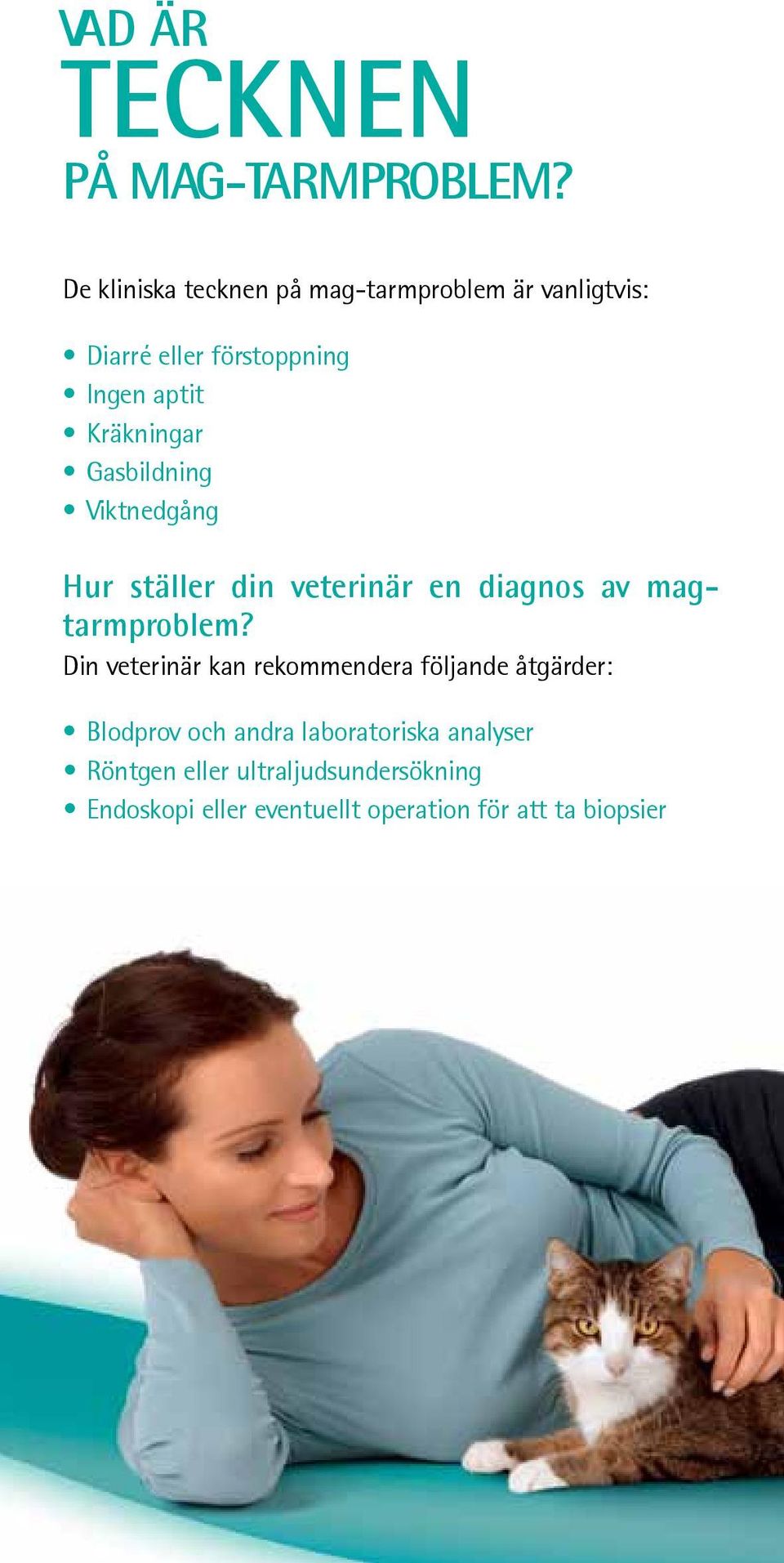 Kräkningar Gasbildning Viktnedgång Hur ställer din veterinär en diagnos av magtarmproblem?