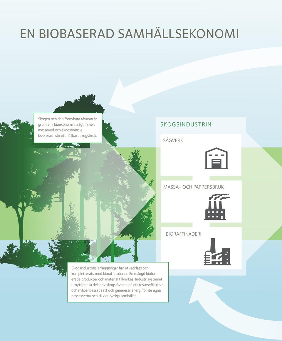 SKOGSINDUSTRIN SÅGVERK MASSA- OCH PAPPERSBRUK BIORAFFINADERI BIORAFFENADERI Skogsindustrins anläggningar har utvecklats och kompletterats