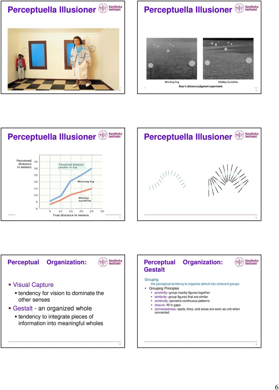 meaningful wholes Grouping the perceptual tendency to organize stimuli into coherent groups Grouping Principles proximity--group nearby figures together
