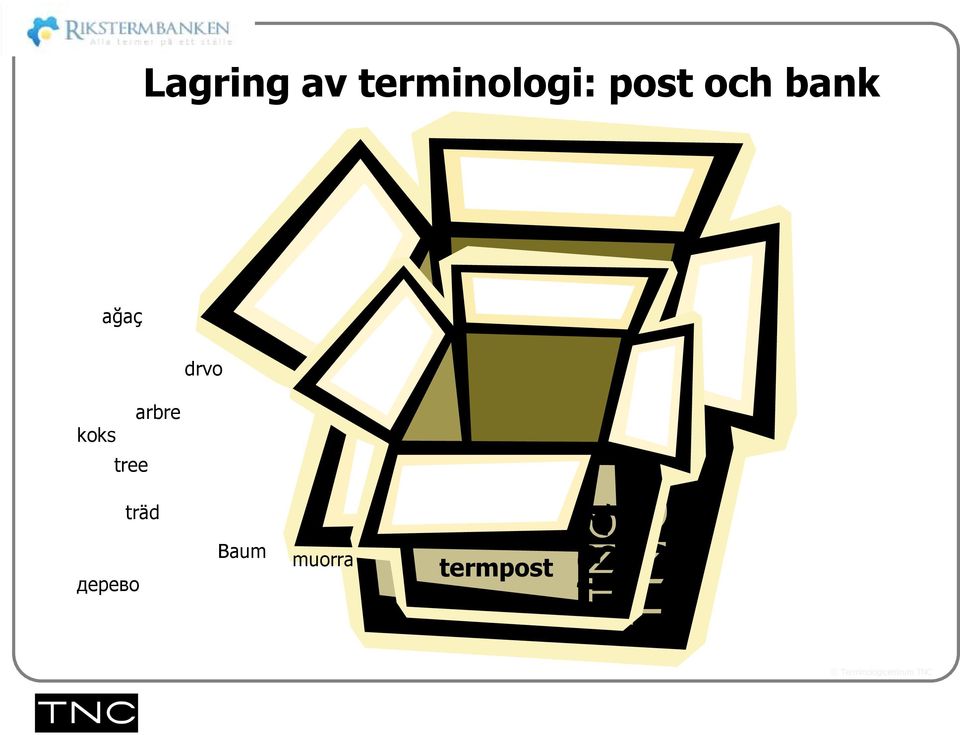 koks arbre tree träd