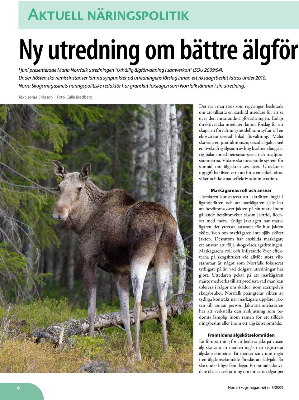 Norra Skogsmagasinets näringspolitiske redaktör har granskat förslagen som Norrfalk lämnar i sin utredning.