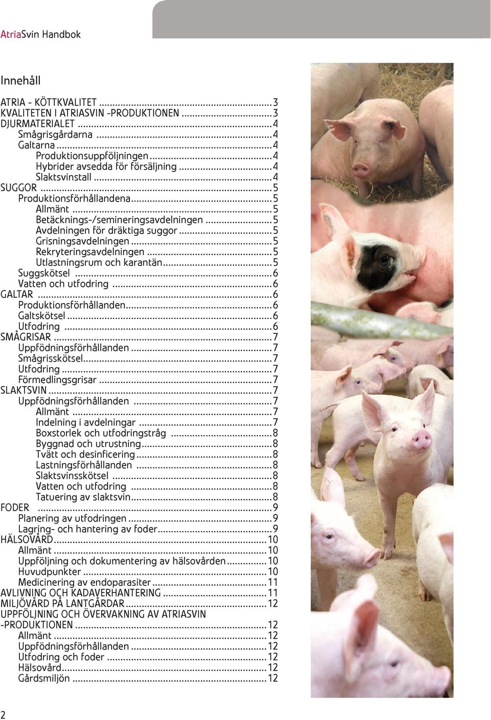..5 Grisningsavdelningen...5 rekryteringsavdelningen...5 Utlastningsrum och karantän...5 Suggskötsel...6 Vatten och utfodring...6 GALTAR...6 Produktionsförhållanden...6 Galtskötsel...6 Utfodring.