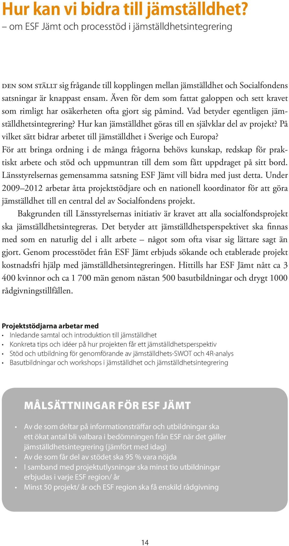 Även för dem som fattat galoppen och sett kravet som rimligt har osäkerheten ofta gjort sig påmind. Vad betyder egentligen jämställdhetsintegrering?