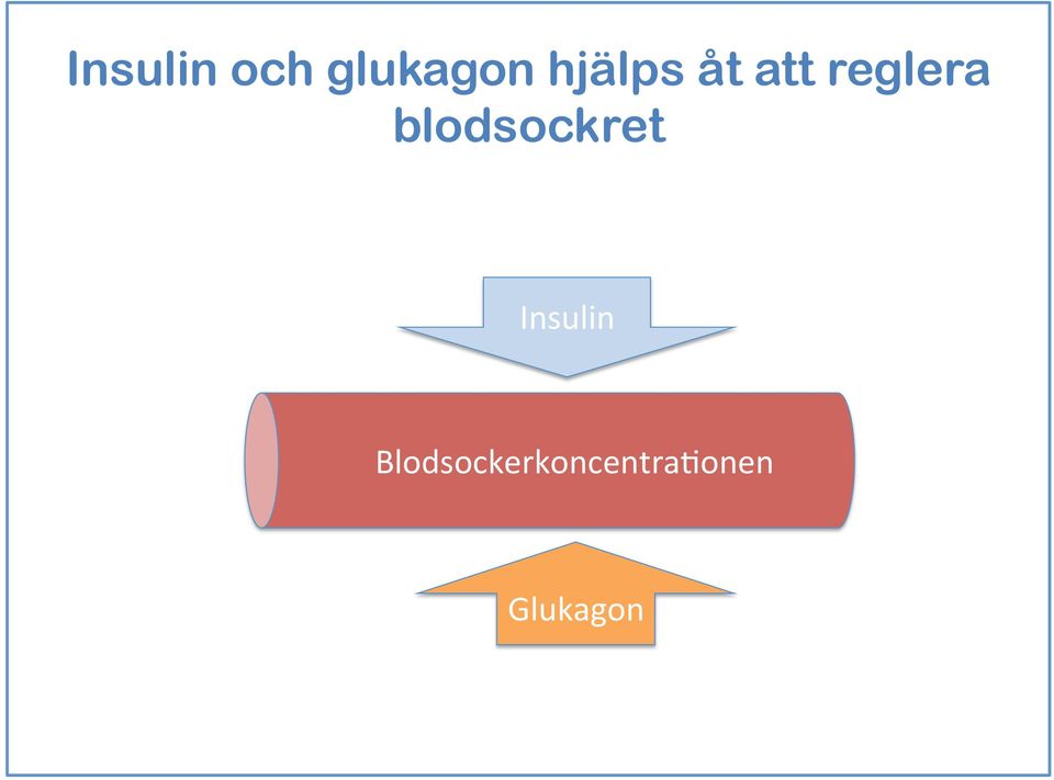 blodsockret Insulin