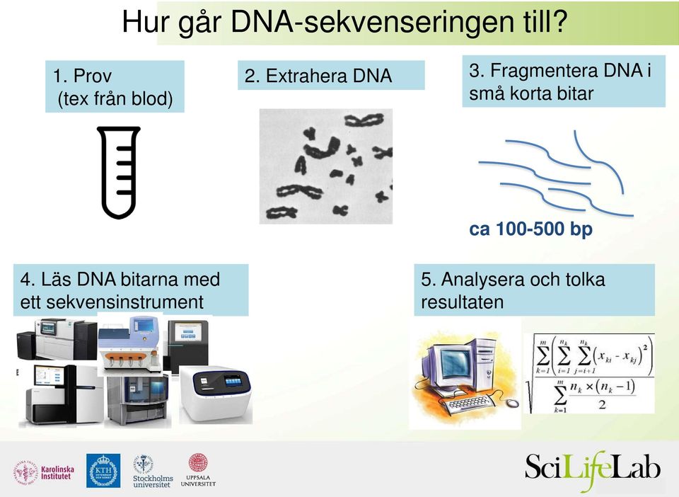 Fragmentera DNA i små korta bitar ca 100-500 bp 4.