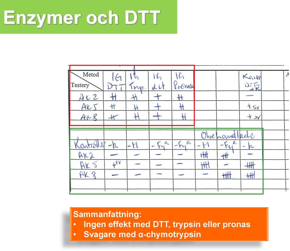 effekt med DTT, trypsin