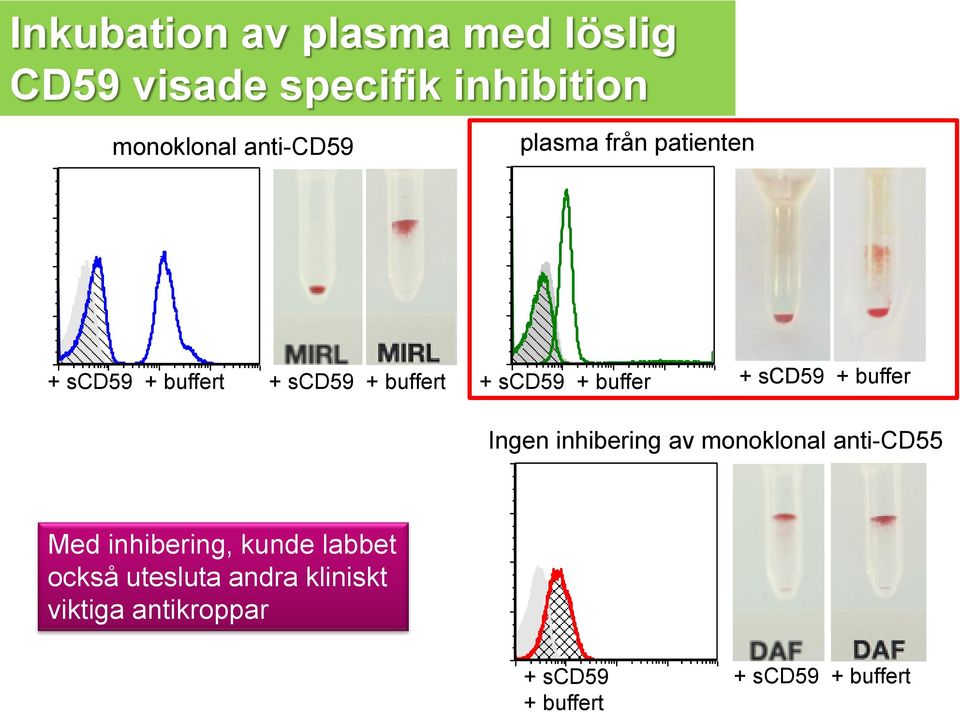 10 2 10 3 10 4 + scd59 + buffer Ingen inhibering av monoklonal anti-cd55 300 Med inhibering, kunde labbet också