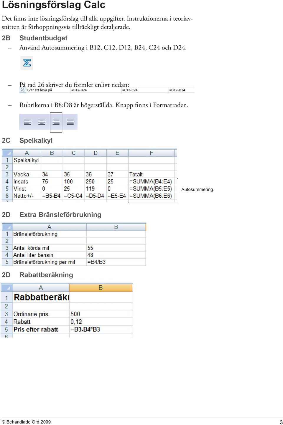 2B Studentbudget Använd Autosummering i B12, C12, D12, B24, C24 och D24.