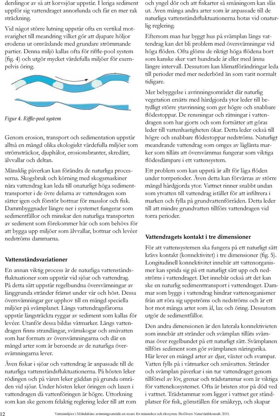 Denna miljö kallas ofta för riffle-pool system (fig. 4) och utgör mycket värdefulla miljöer för exempelvis öring. Figur 4.