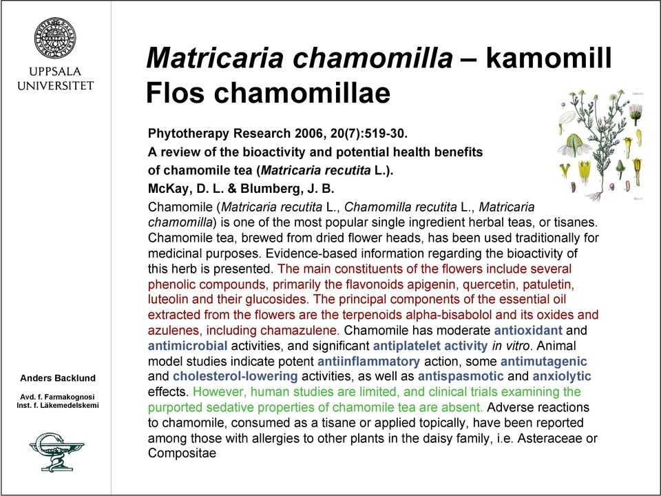 Chamomile tea, brewed from dried flower heads, has been used traditionally for medicinal purposes. Evidence-based information regarding the bioactivity of this herb is presented.