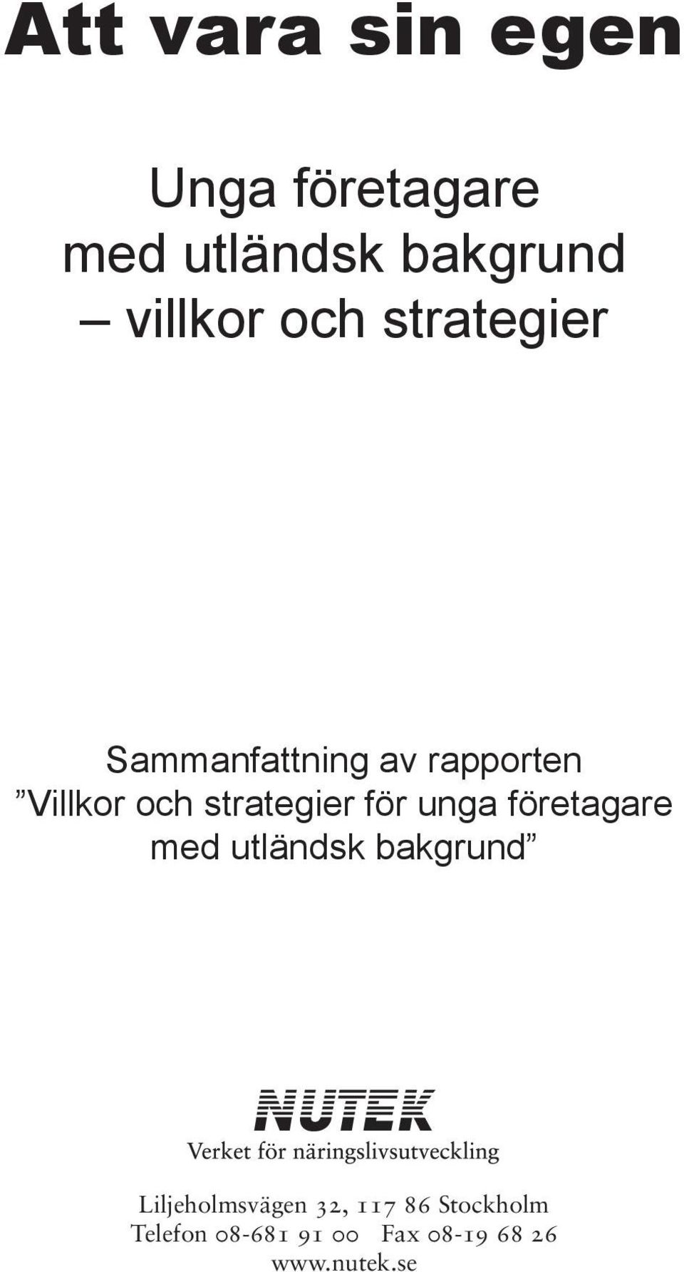 Villkor och strategier för unga företagare med utländsk bakgrund alt 3