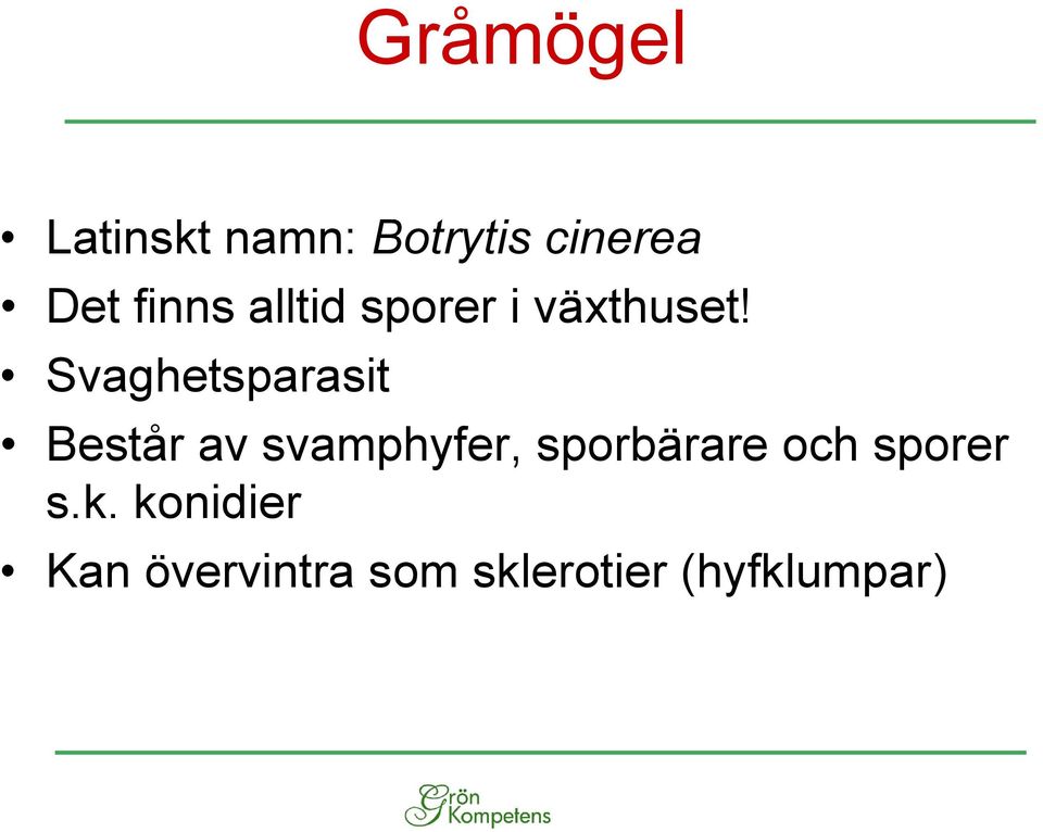 Svaghetsparasit Består av svamphyfer, sporbärare