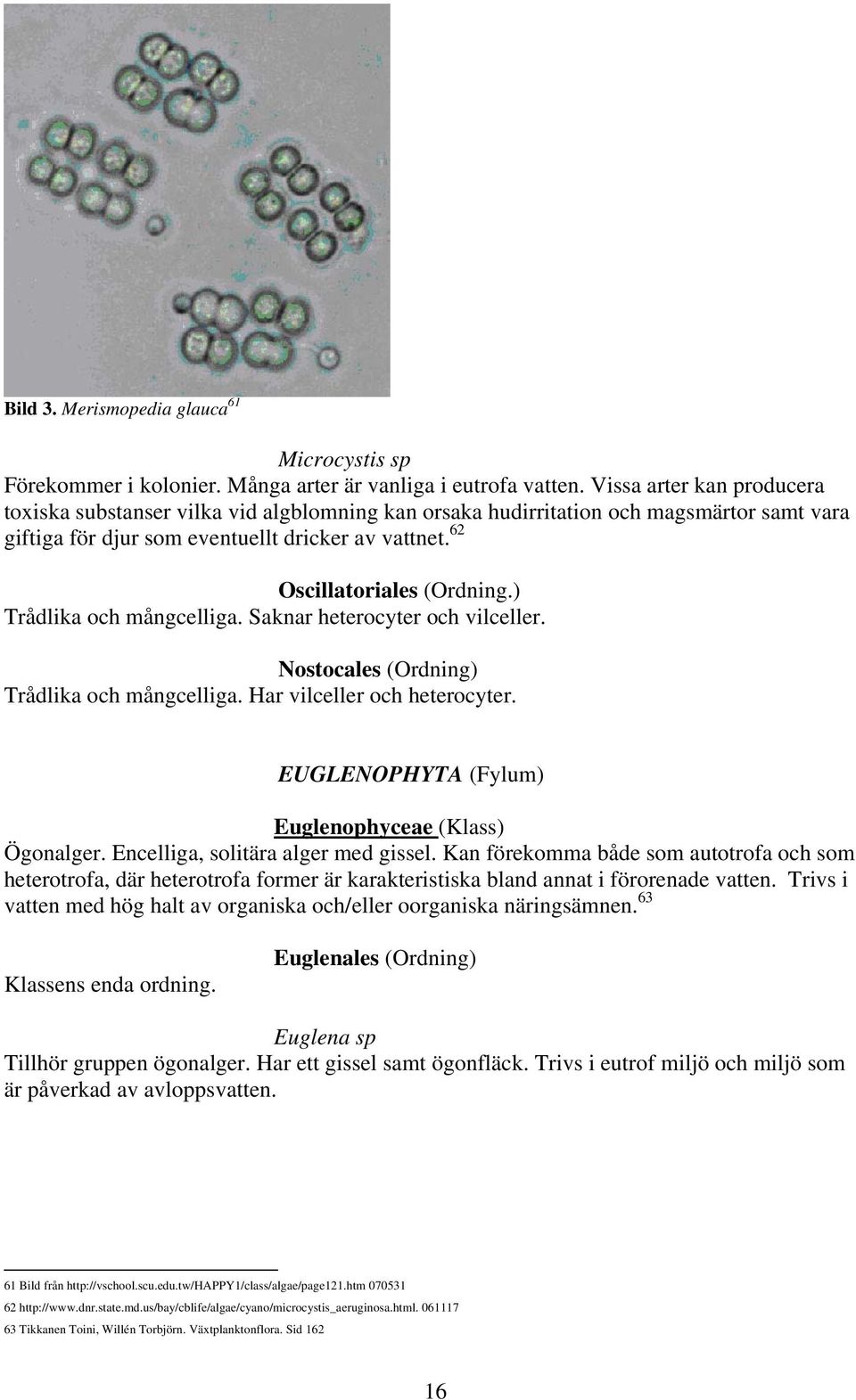 ) Trådlika och mångcelliga. Saknar heterocyter och vilceller. Nostocales (Ordning) Trådlika och mångcelliga. Har vilceller och heterocyter. EUGLENOPHYTA (Fylum) Euglenophyceae (Klass) Ögonalger.