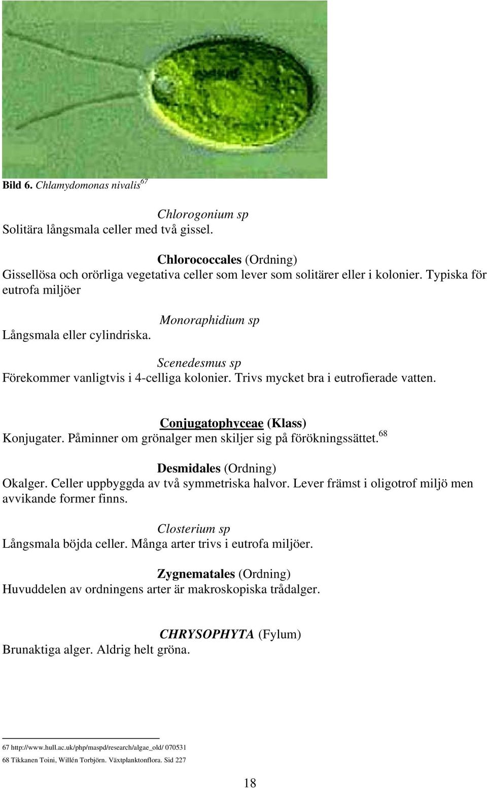 Conjugatophyceae (Klass) Konjugater. Påminner om grönalger men skiljer sig på förökningssättet. 68 Desmidales (Ordning) Okalger. Celler uppbyggda av två symmetriska halvor.