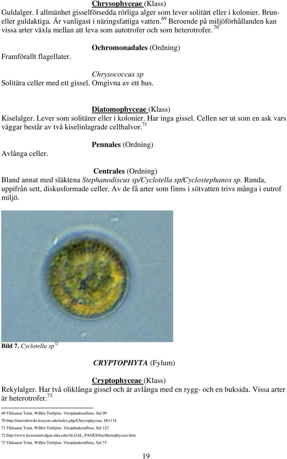 Ochromonadales (Ordning) Chrysococcus sp Solitära celler med ett gissel. Omgivna av ett hus. Diatomophyceae (Klass) Kiselalger. Lever som solitärer eller i kolonier. Har inga gissel.