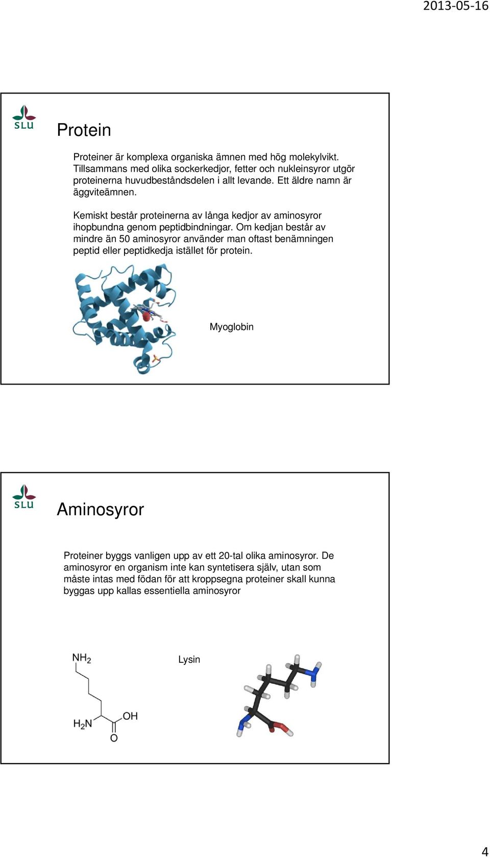 Kemiskt består proteinerna av långa kedjor av aminosyror ihopbundna genom peptidbindningar.