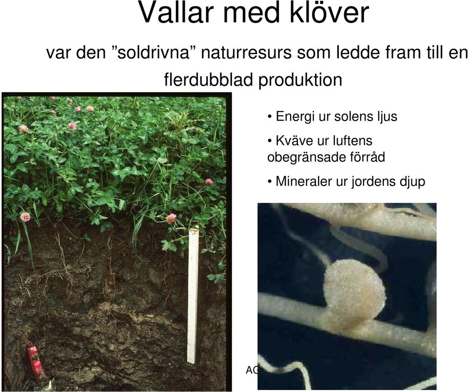 flerdubblad produktion Energi ur solens ljus
