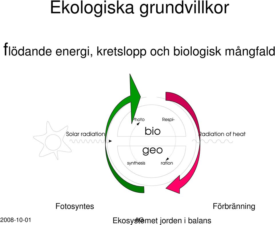 biologisk mångfald Fotosyntes