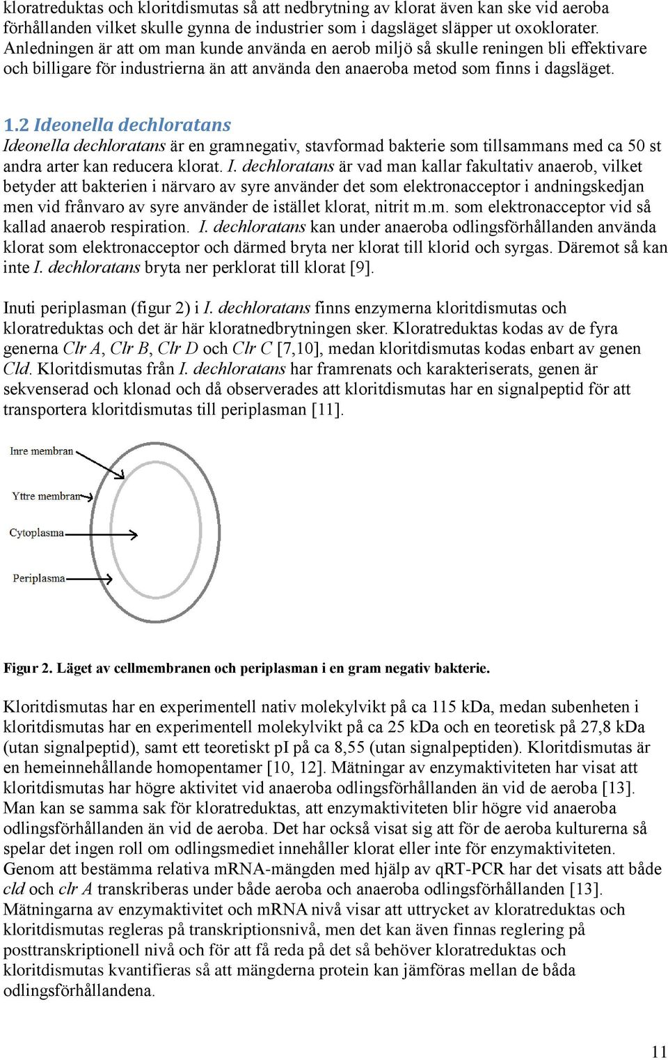 2 Ideonella dechloratans Ideonella dechloratans är en gramnegativ, stavformad bakterie som tillsammans med ca 50 st andra arter kan reducera klorat. I. dechloratans är vad man kallar fakultativ