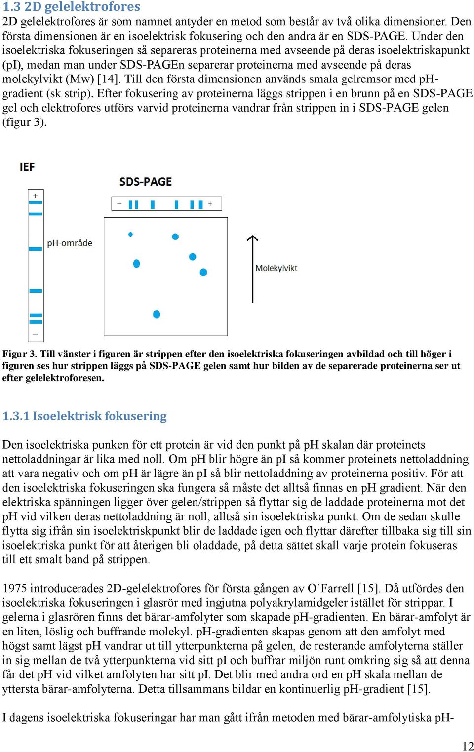 [14]. Till den första dimensionen används smala gelremsor med phgradient (sk strip).