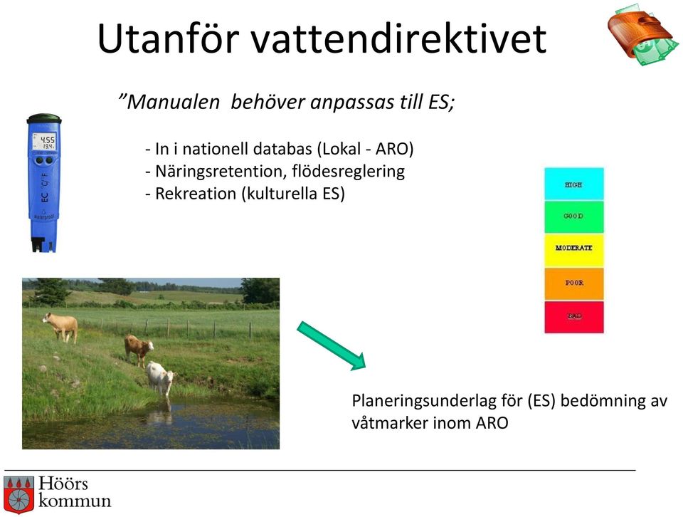 Näringsretention, flödesreglering - Rekreation