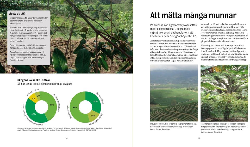 De tropiska skogarna utgör tillsammans ca 70 % av skogens globala bruttokolsänka.