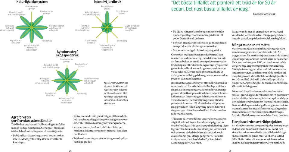 Kinesiskt ordspråk Rening av luft samt klimatreglering Kapacitet att binda kol Vattenrening och kontroll av vattenflöden Pollinering Rening av luft samt klimatreglering Skydd av habitat och biologisk