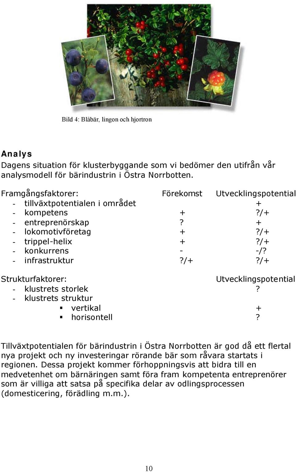 - infrastruktur?/+?/+ Strukturfaktorer: Utvecklingspotential - klustrets storlek? - klustrets struktur vertikal + horisontell?