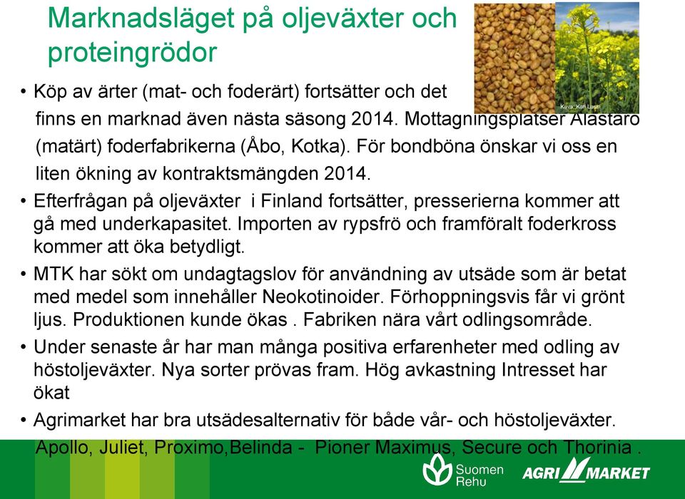 Efterfrågan på oljeväxter i Finland fortsätter, presserierna kommer att gå med underkapasitet. Importen av rypsfrö och framföralt foderkross kommer att öka betydligt.