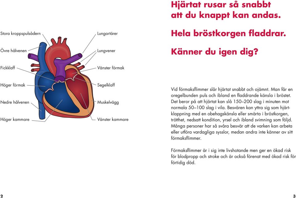 Man får en oregelbunden puls och ibland en fl addrande känsla i bröstet. Det beror på att hjärtat kan slå 150 200 slag i minuten mot normala 50 100 slag i vila.