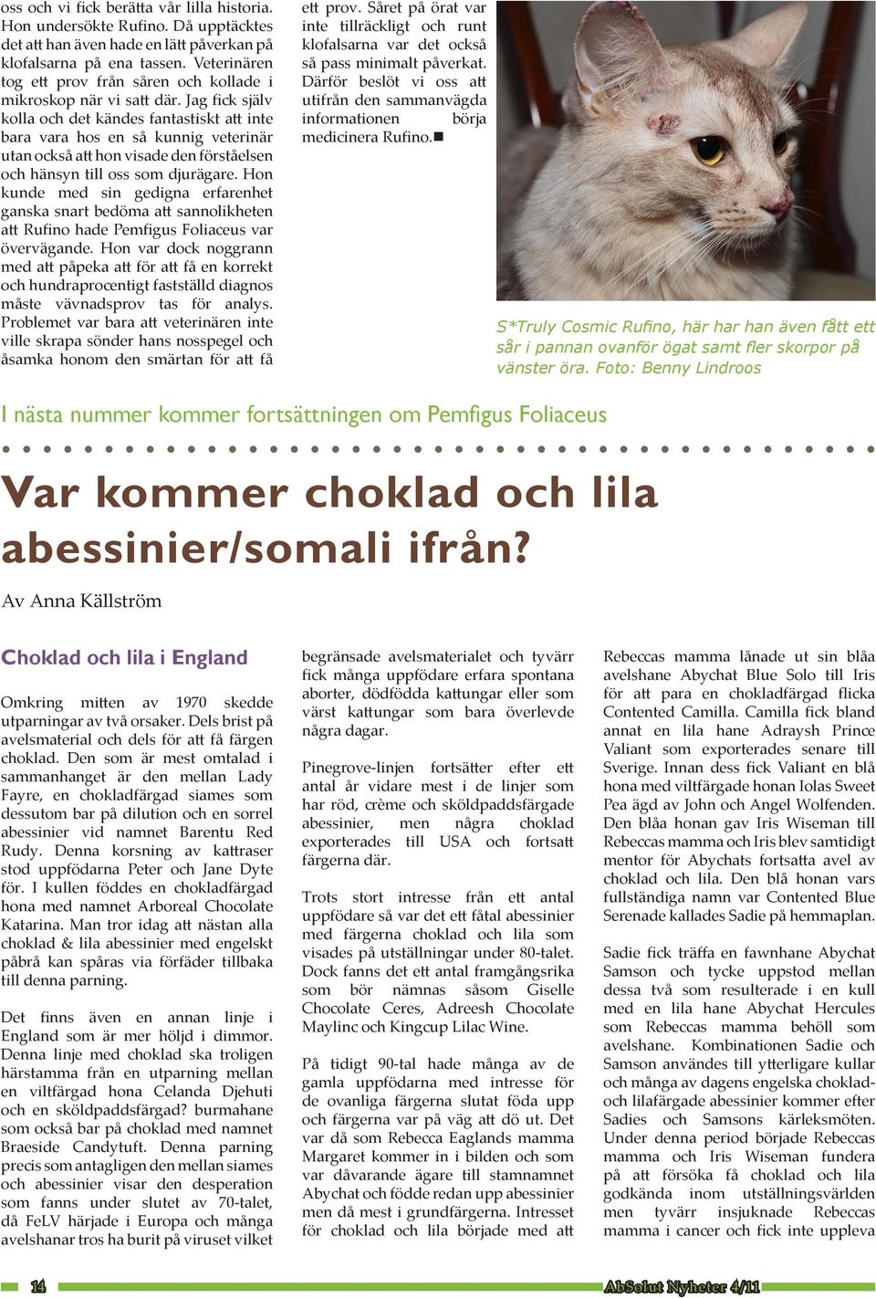 Jag fick själv kolla och det kändes fantastiskt att inte bara vara hos en så kunnig veterinär utan också att hon visade den förståelsen och hänsyn till oss som djurägare.