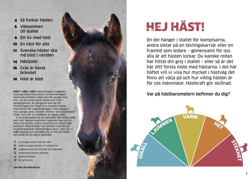 Av pengarna som går till hästnäringen, har drygt fyra miljoner kronor öronmärkts för ungdomsprojekt inom ridsport, trav, galopp, avel, western, islands- och brukshästar under 2015.