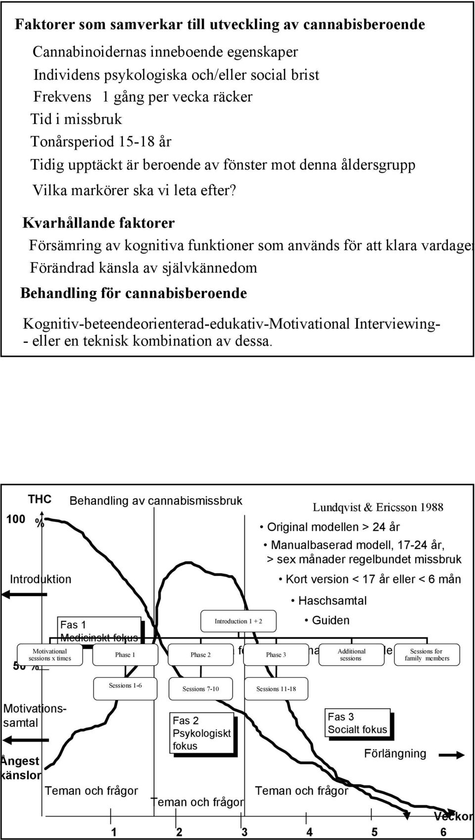 Kvarhållande faktorer Försämring av kognitiva funktioner som används för att klara vardagen Förändrad känsla av självkännedom Behandling för cannabisberoende