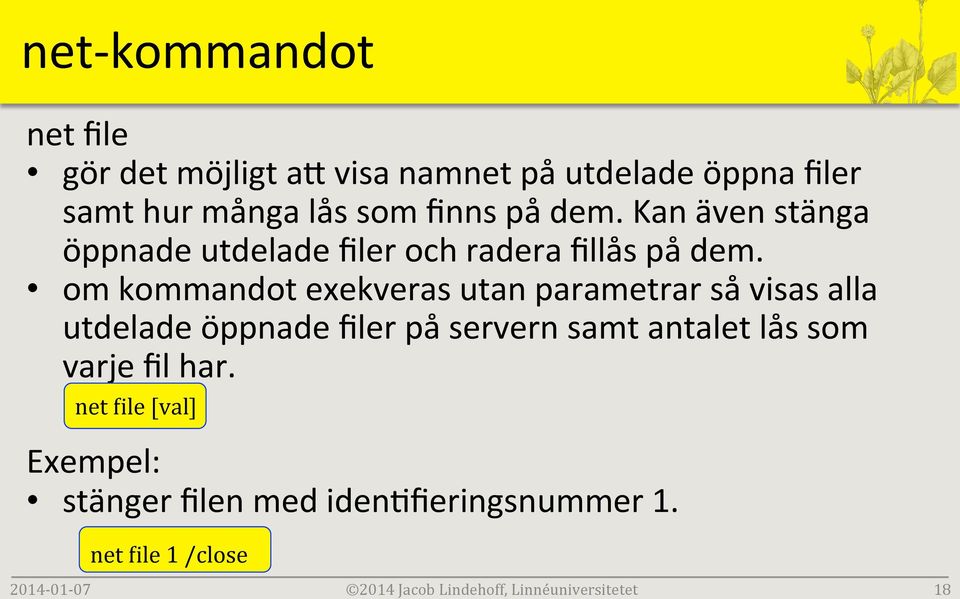 om kommandot exekveras utan parametrar så visas alla utdelade öppnade filer på servern samt antalet lås som