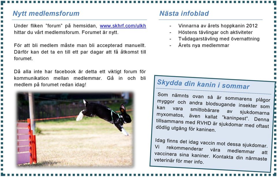 Nästa infoblad - Vinnarna av årets hoppkanin 2012 - Höstens tävlingar och aktiviteter - Tvådagarstävling med övernattning -