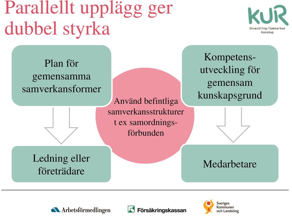 Använd befintliga samverkansstrukturer t ex