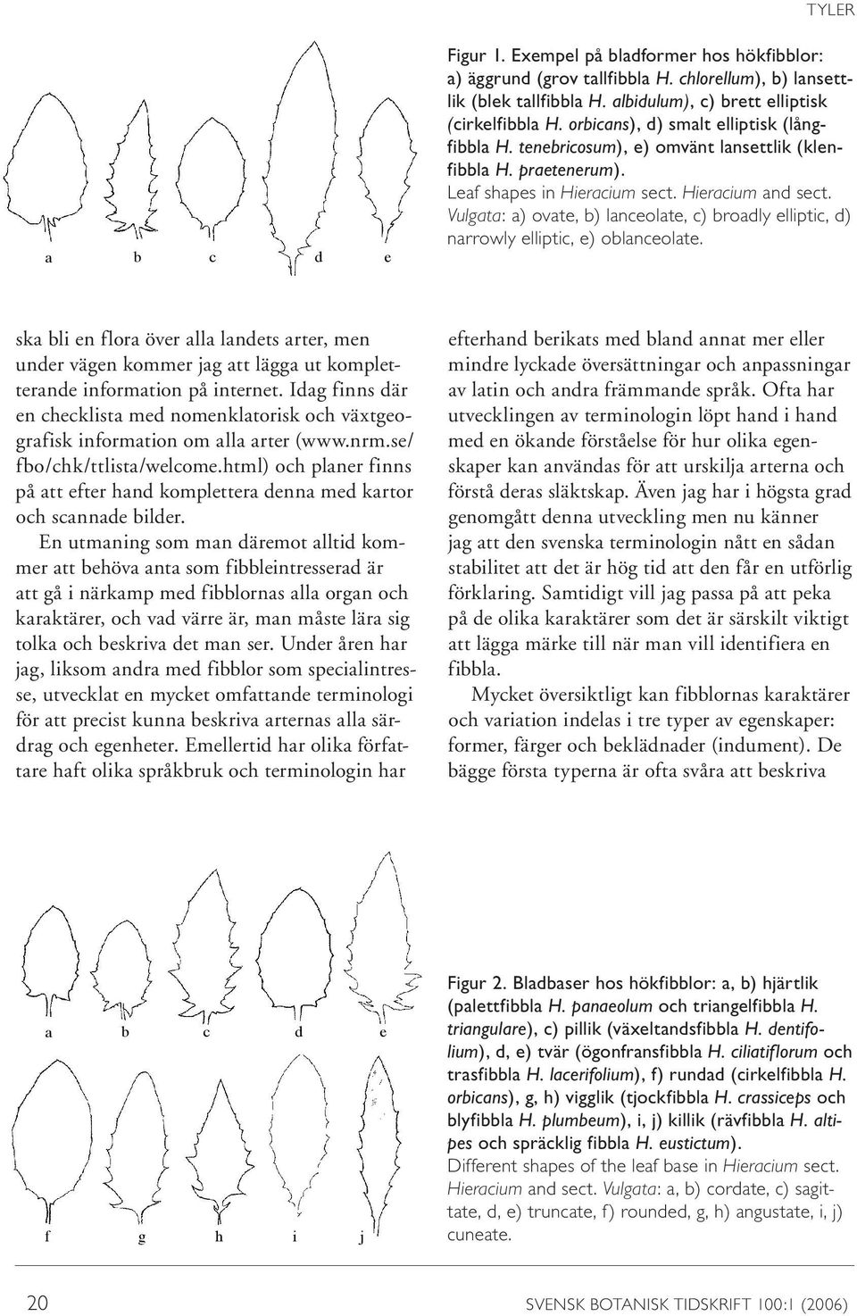 Vulgata: a) ovate, b) lanceolate, c) broadly elliptic, d) narrowly elliptic, e) oblanceolate.