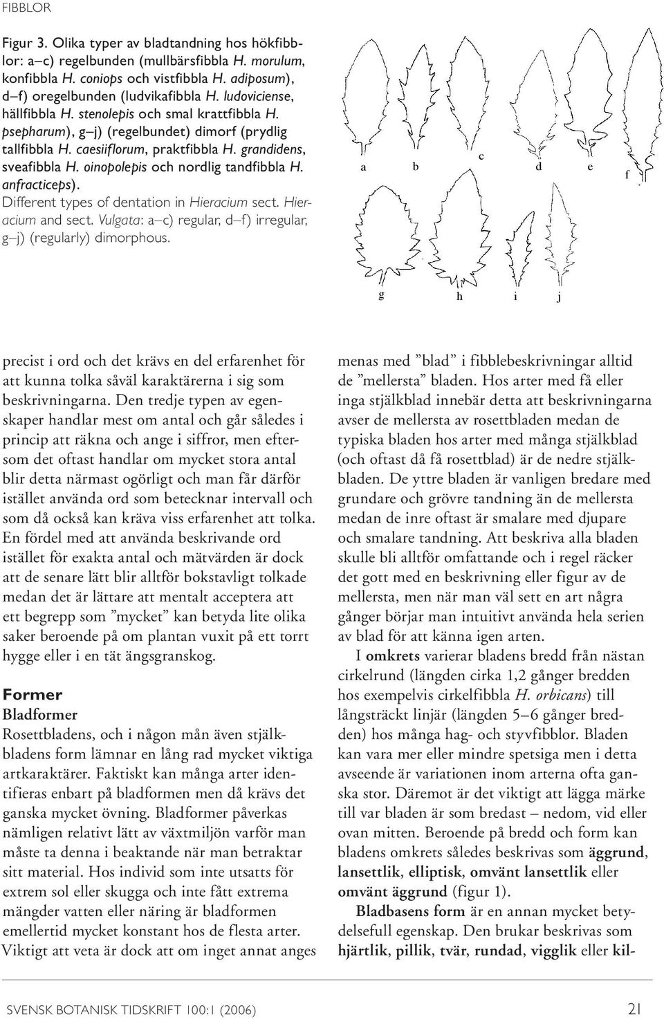 oinopolepis och nordlig tandfibbla H. anfracticeps). Different types of dentation in Hieracium sect. Hieracium and sect. Vulgata: a c) regular, d f) irregular, g j) (regularly) dimorphous.