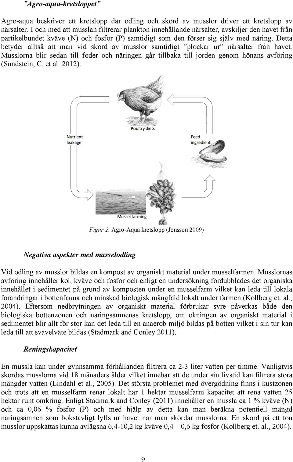 Detta betyder alltså att man vid skörd av musslor samtidigt plockar ur närsalter från havet. Musslorna blir sedan till foder och näringen går tillbaka till jorden genom hönans avföring (Sundstein, C.