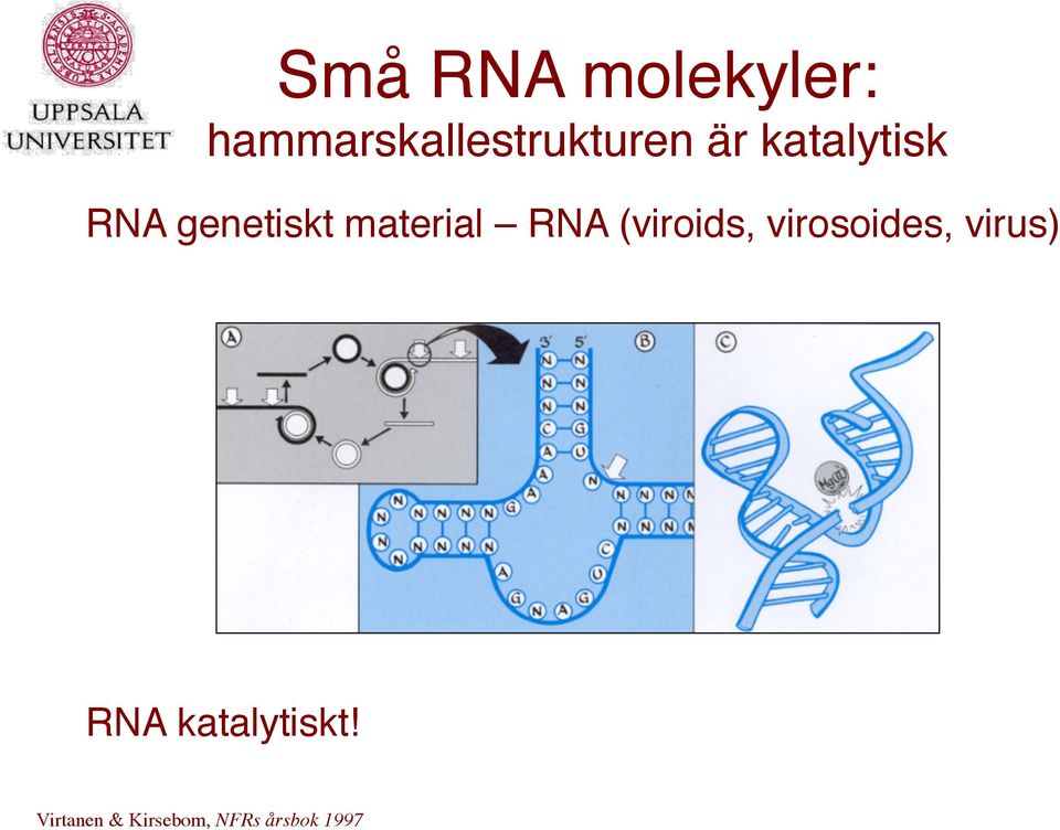 RNA genetiskt material RNA (viroids,